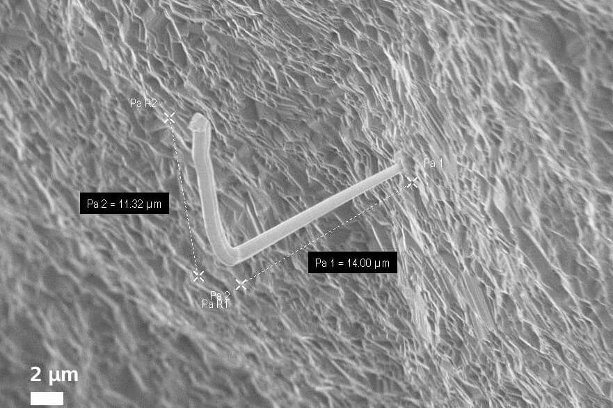 SE image revealing whisker growth on an electronic device.