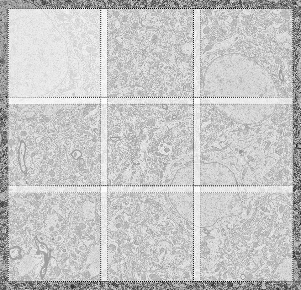 Illustration shows the principle of tiling and stitching for large area imaging.