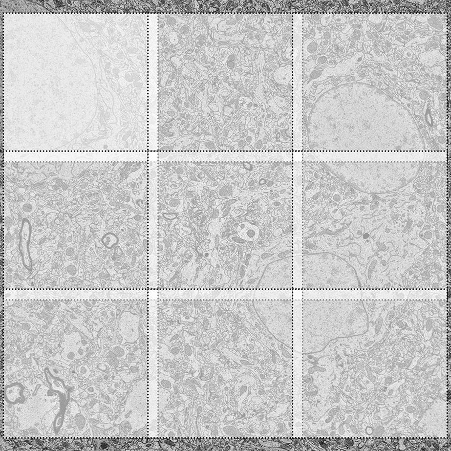 Illustration shows the principle of tiling and stitching for large area imaging.