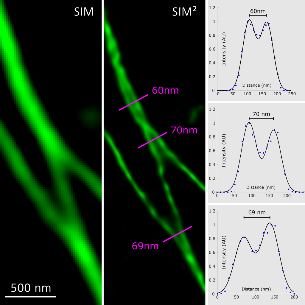 Sim Point Spread Function ZEISS Lattice SIM 5: Super-resolution imaging down to 60 nm