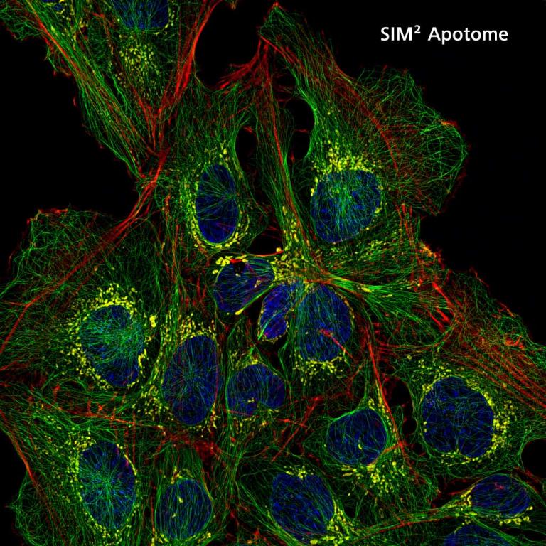 Sim Point Spread Function ZEISS Lattice SIM 5: Super-resolution imaging down to 60 nm