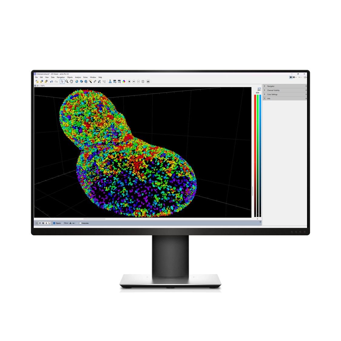 Desktop monitor showing a screen of the ZEISS arivis Pro software with analysis results of nuclear pore complexes of FIB-SEM volume electron microscopy data.