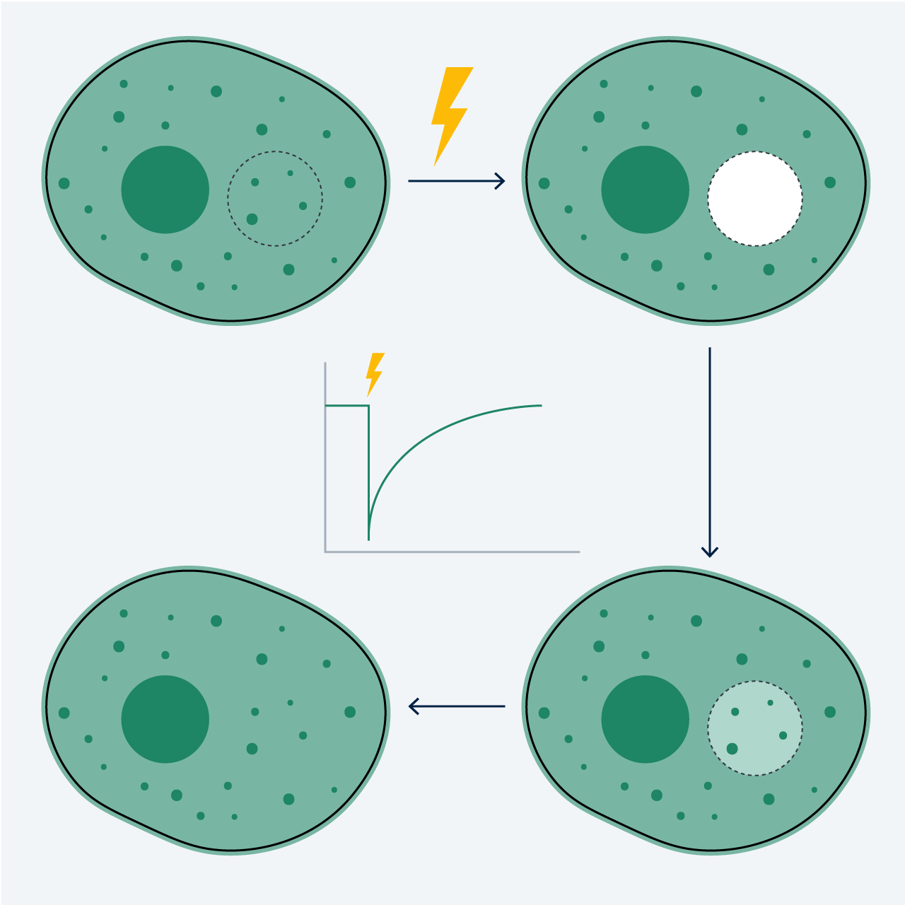 Illustration molecular quantification toolkit package