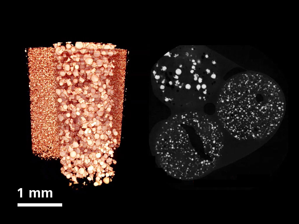 Imaging of different A205 AM powder qualities at 3.9 µm voxel resolution.
