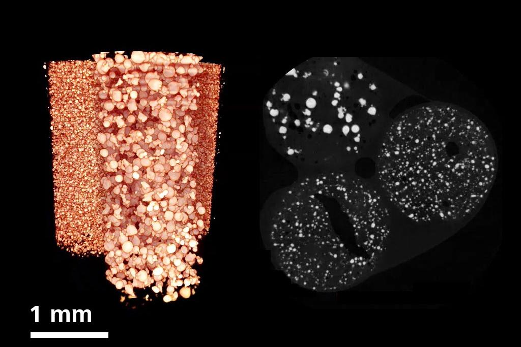 Imaging of different A205 AM powder qualities at 3.9 µm voxel resolution.