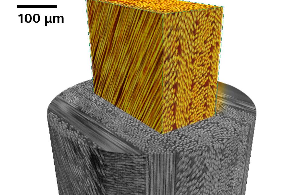 Carbon fiber reinforced polymer composite.