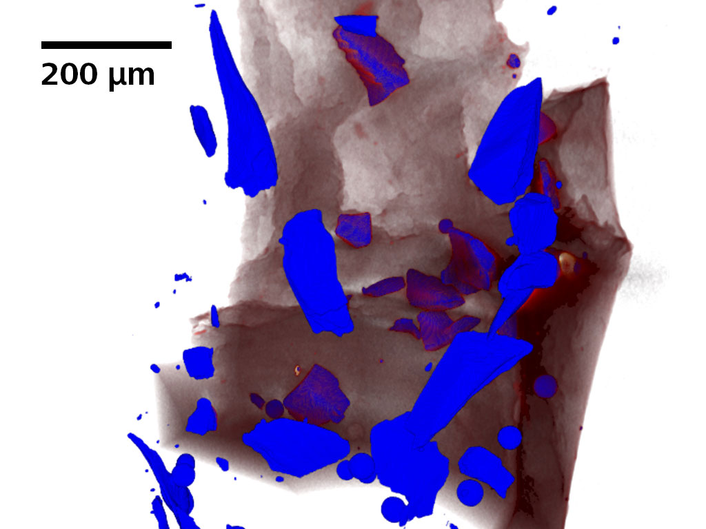 Traditional absorption contrast image of disaggregated olivine.