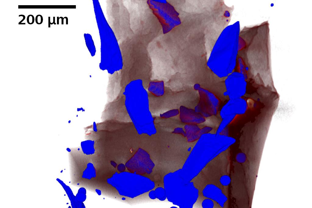 Traditional absorption contrast image of disaggregated olivine.