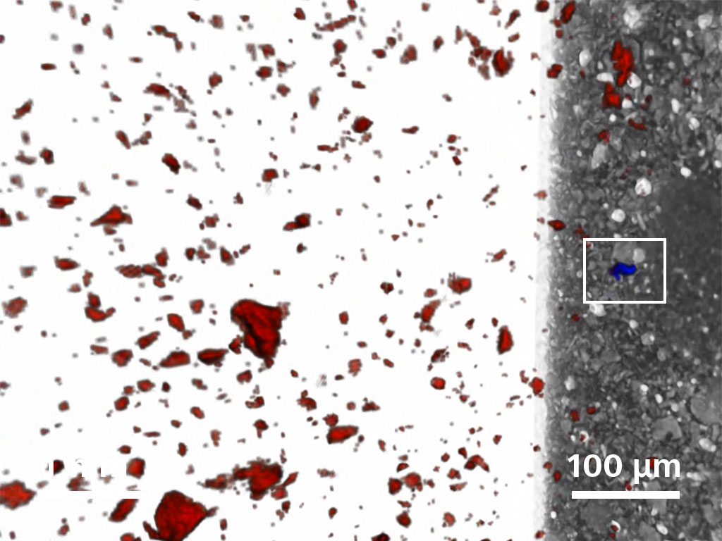 Individual gold grain identified from population of ~26,000 pyrite grains.