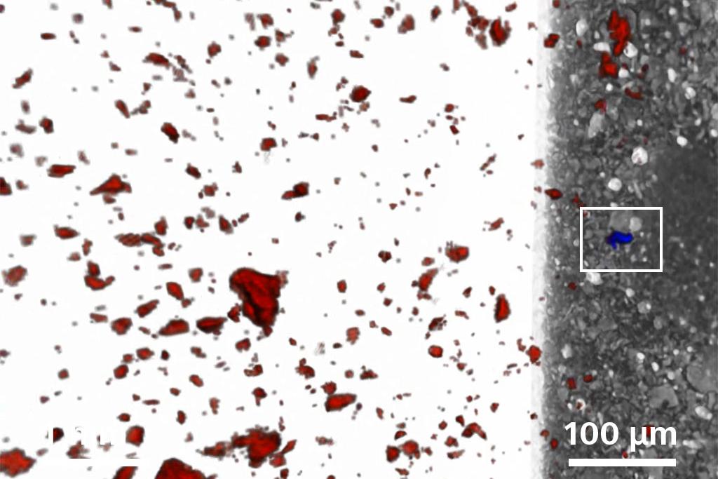 Individual gold grain identified from population of ~26,000 pyrite grains.