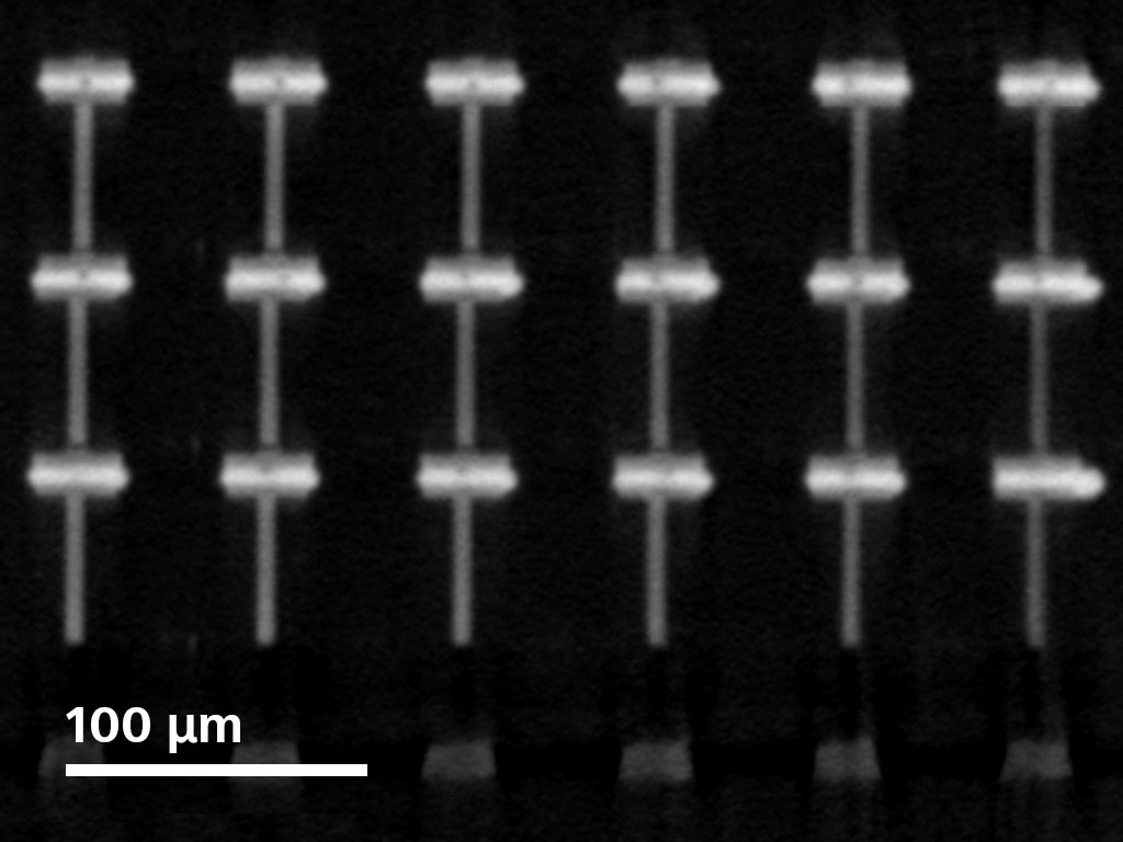 Virtual cross section of micro bumps in a DRAM package.