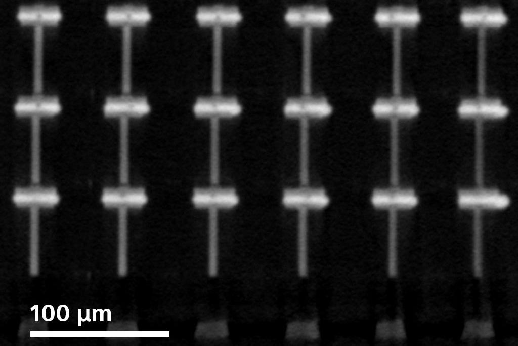 Virtual cross section of micro bumps in a DRAM package.