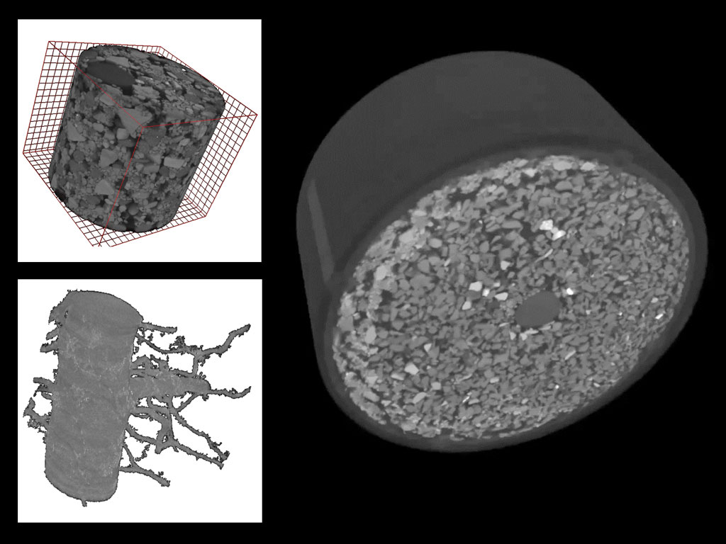 Embedded plant root in soil.