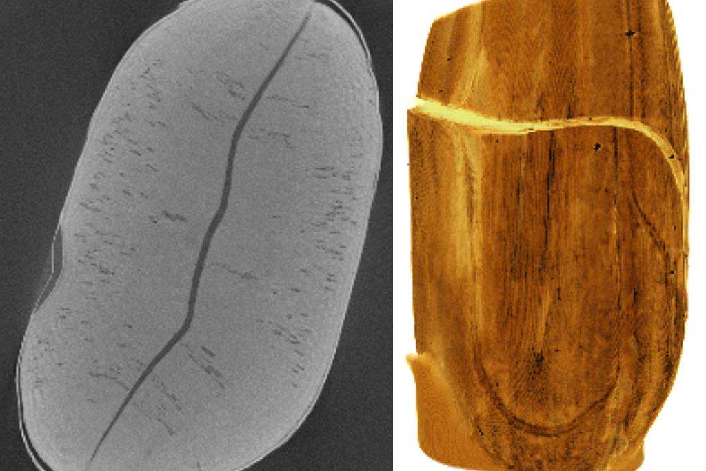 Seeds are very solid and compact structures and their inside is difficult to image as a whole.