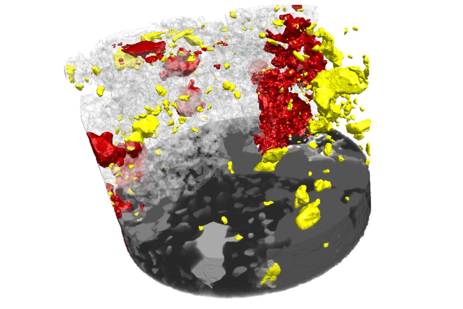 Granulite facies metagabbro sample from the Lewisian complex that has been analyzed using Mineralogic 3D software for quantitative analysis of mineralogy, grain size, shape and distributions, and mineral relationships, inclusion assemblages and more all prior to destructive sample preparation.