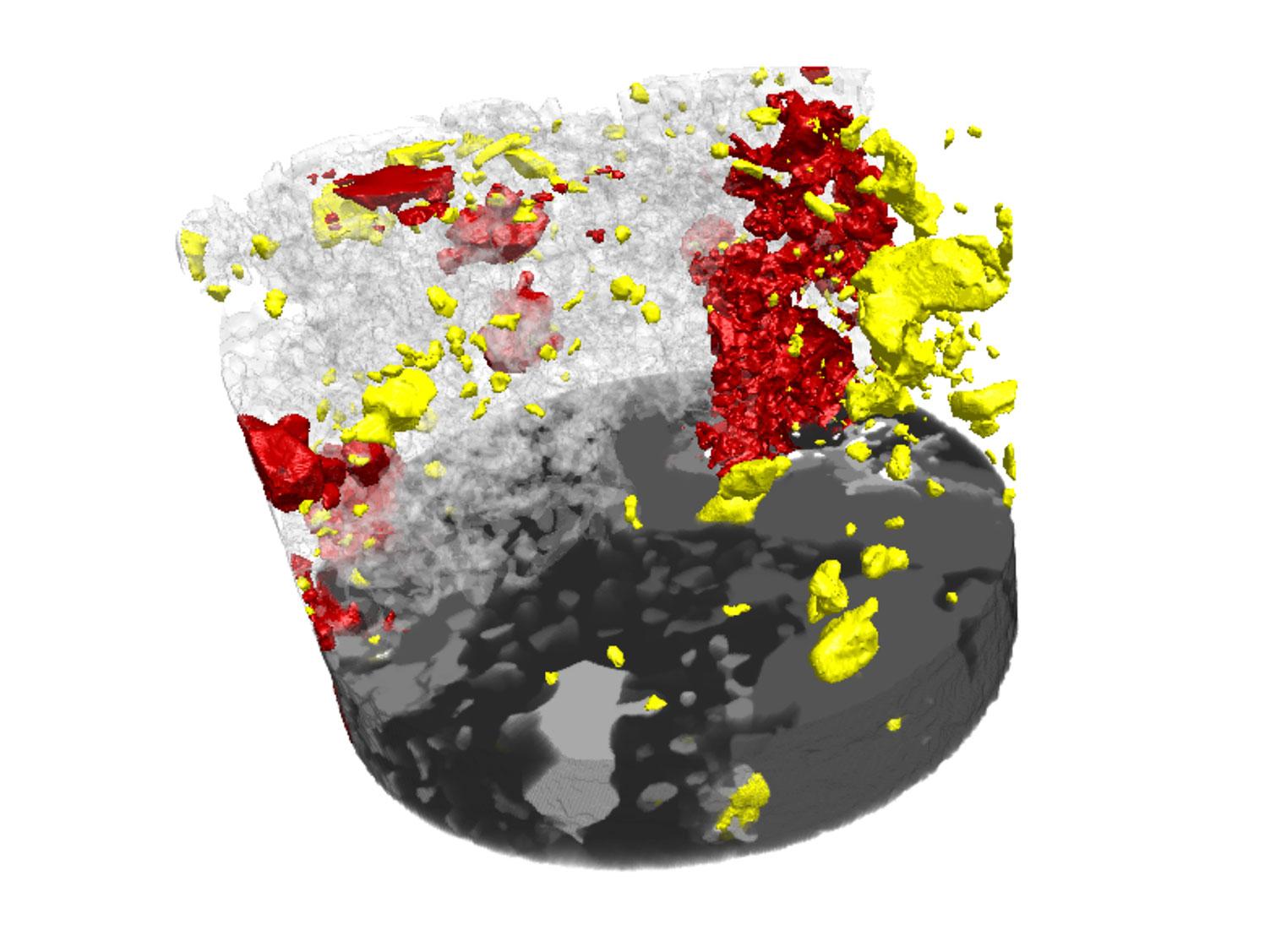 Granulite facies metagabbro sample from the Lewisian complex