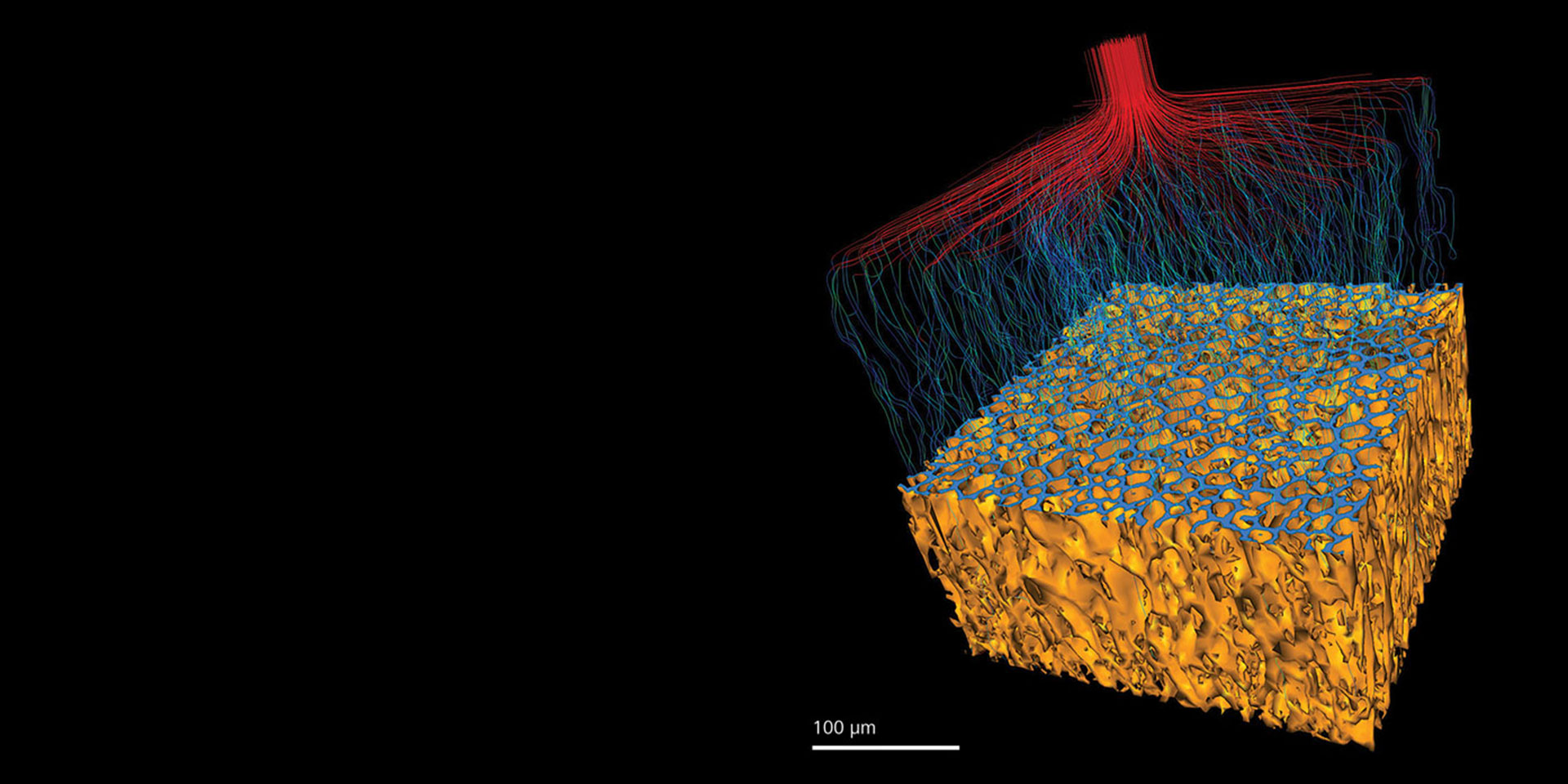 Polymer with urethane backbone. Imaging after in situ experiments. Simulation of fluid flow demonstrates permeability.