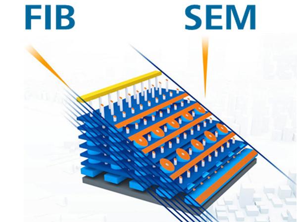 FIB-SEM的組合圖 