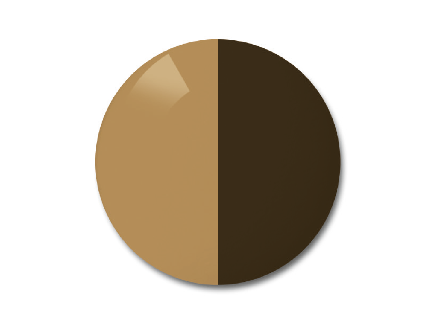 蔡司AdaptiveSun光致變色鏡片的插圖，顏色選項為純棕色