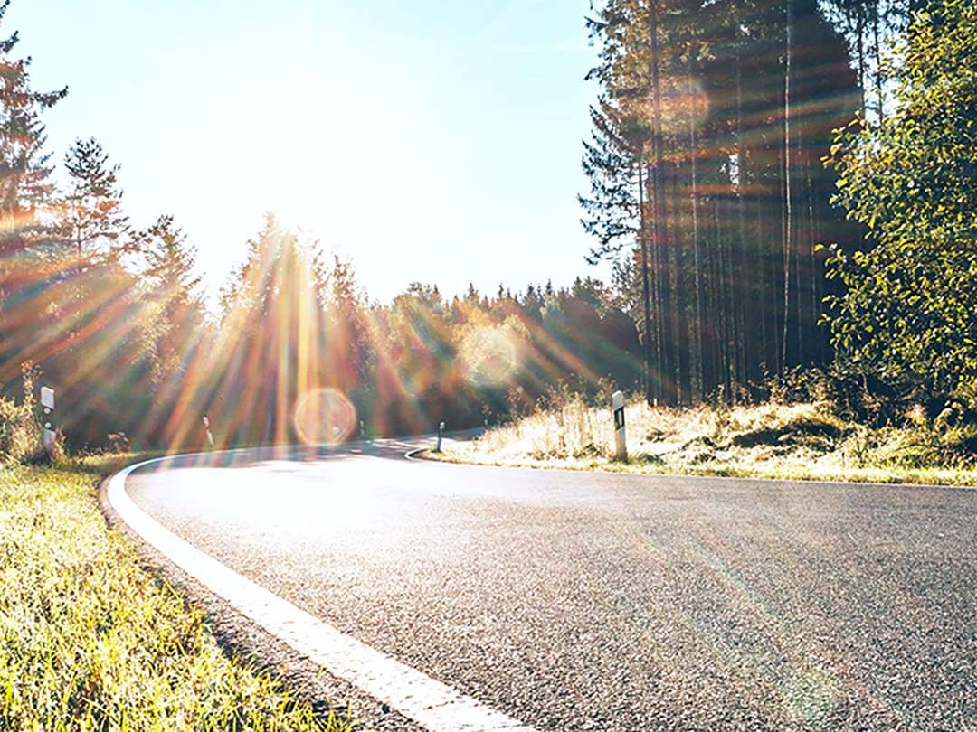 在滑動對比圖中，一半是樹林中的一條道路，在太陽底下光線明亮，而另一半顯示同一條道路，但減少眩光、增加對比度，強調偏光太陽眼鏡鏡片的效果。