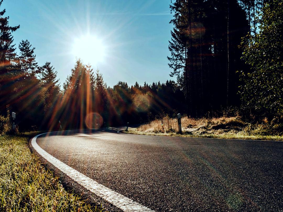 在滑動對比圖中，一半是樹林中的一條道路，在太陽底下光線明亮，而另一半顯示同一條道路，但減少眩光、增加對比度，強調偏光太陽眼鏡鏡片的效果。