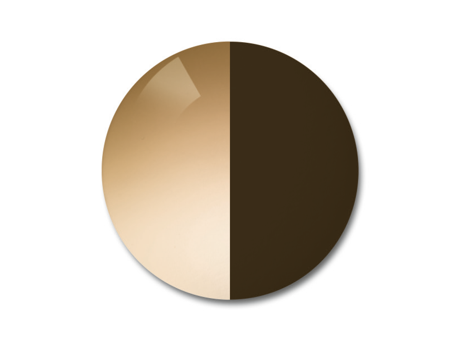 蔡司AdaptiveSun光致變色鏡片的插圖，顏色選項為漸變棕色