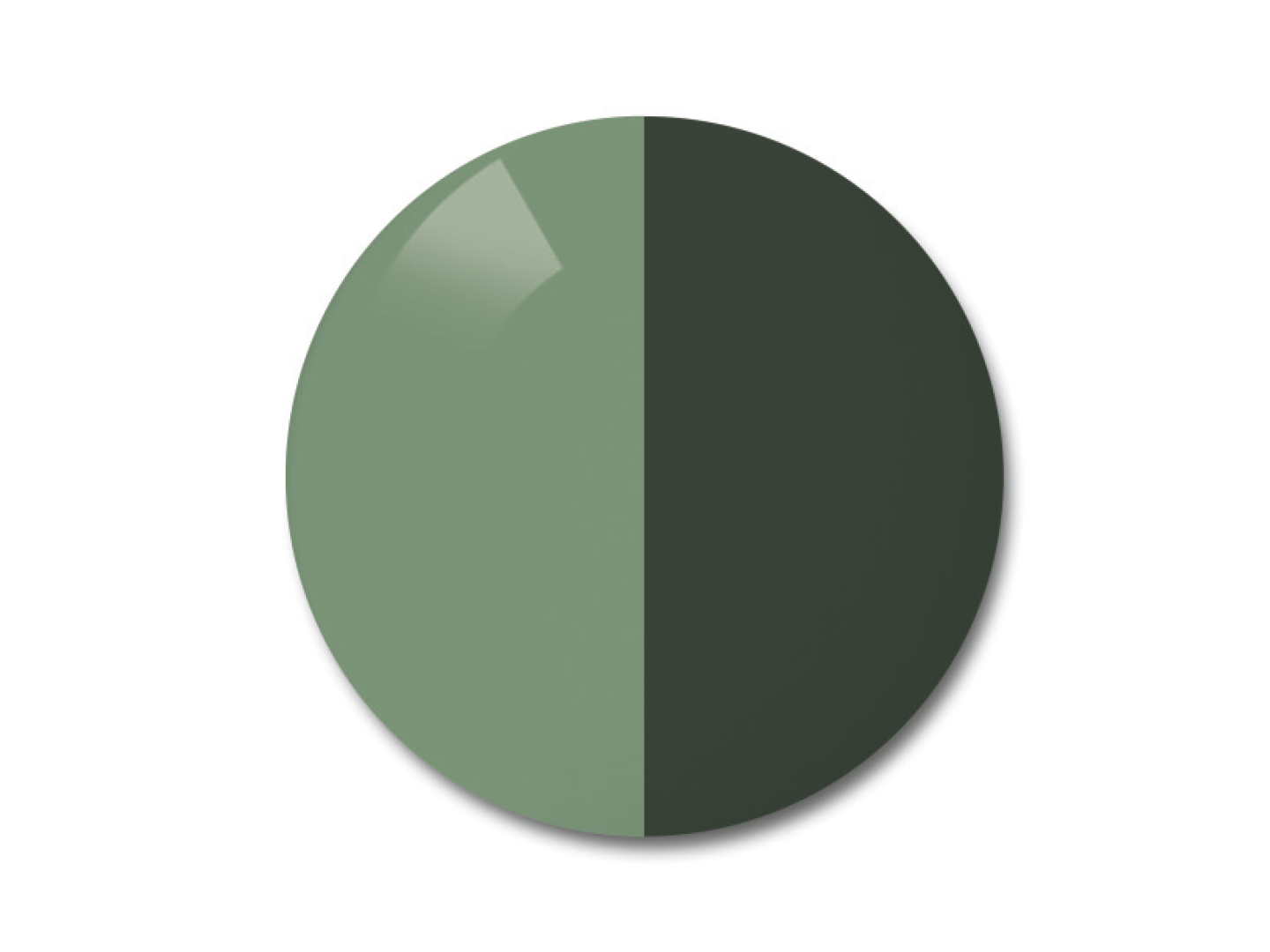 蔡司AdaptiveSun光致變色鏡片的插圖，顏色選項為灰綠色 